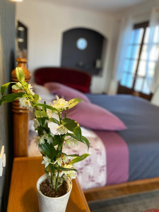 Bed and Breakfast Domaine De La Provencale Saint-Didier-de-la-Tour Exterior foto